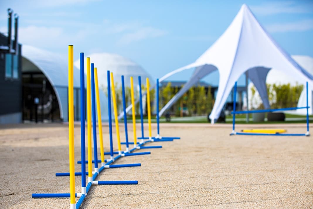 アジリティエリア