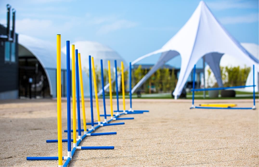 思いっきり走りまわれる広々空間