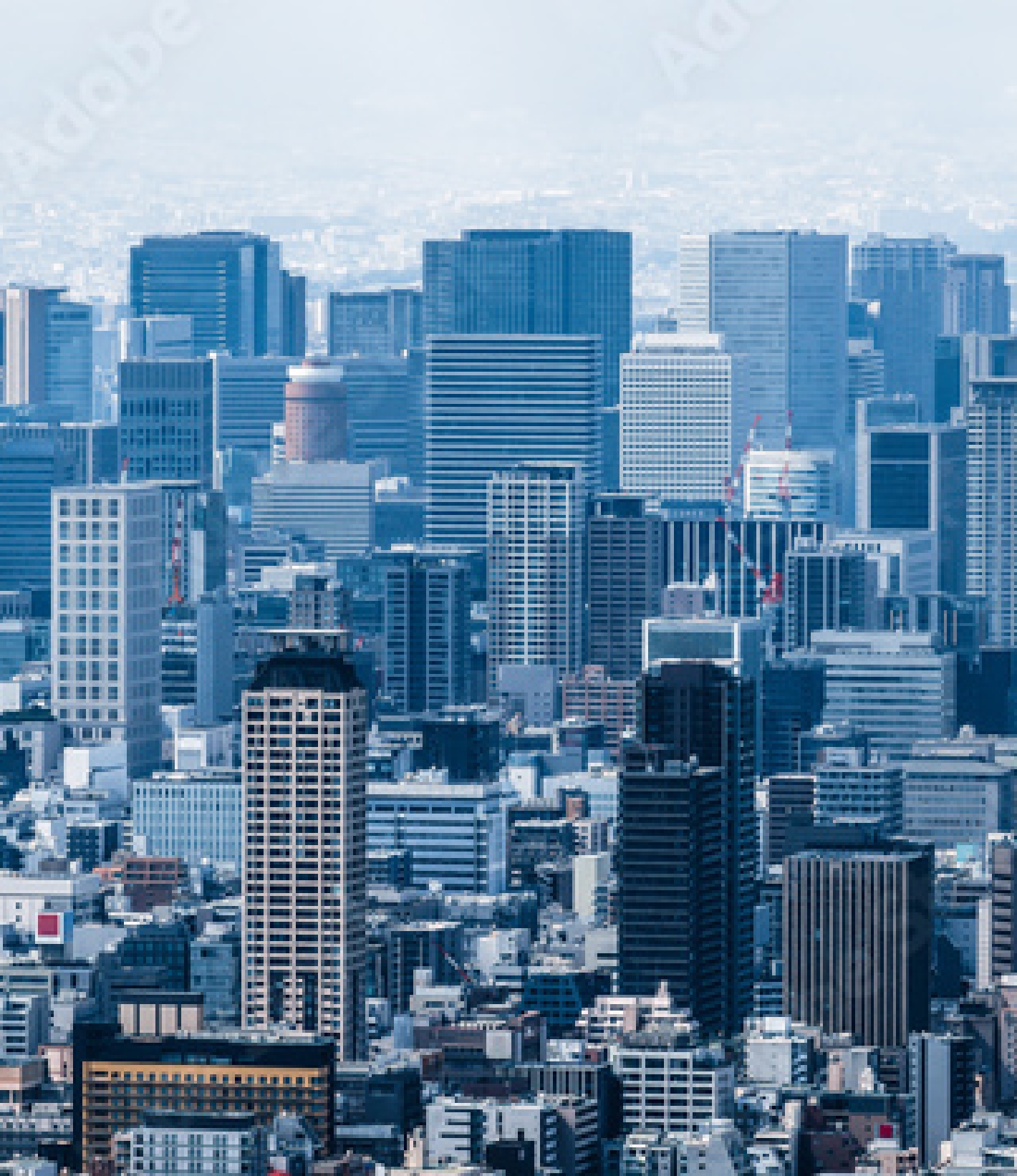 不動産ソリューション